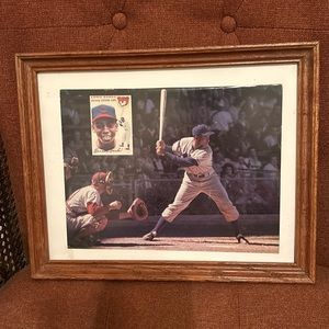 Mr. Cub:  Earnie Banks